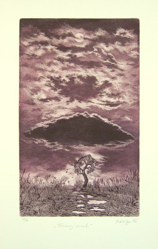 Kisza Herbert - Dark Cloud - Print
