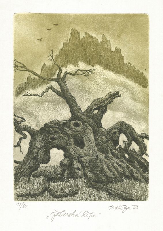 Kisza Herbert - Linden Tree in Žeberk - Print