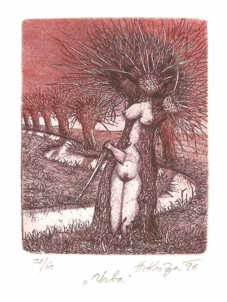 Kisza Herbert - Willow Tree - Print